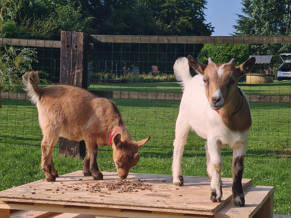 Gite Le Manege Normand Grand-Camp  Exterior foto